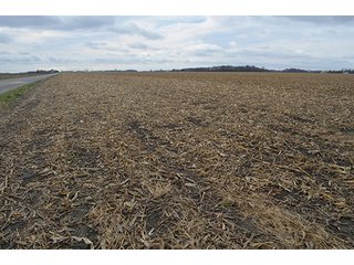 Property photo 16 - LAND AUCTION - 276.5+/- ACRES OFFERED IN 5 TRACTS IN EAST ALLEN COUNTY